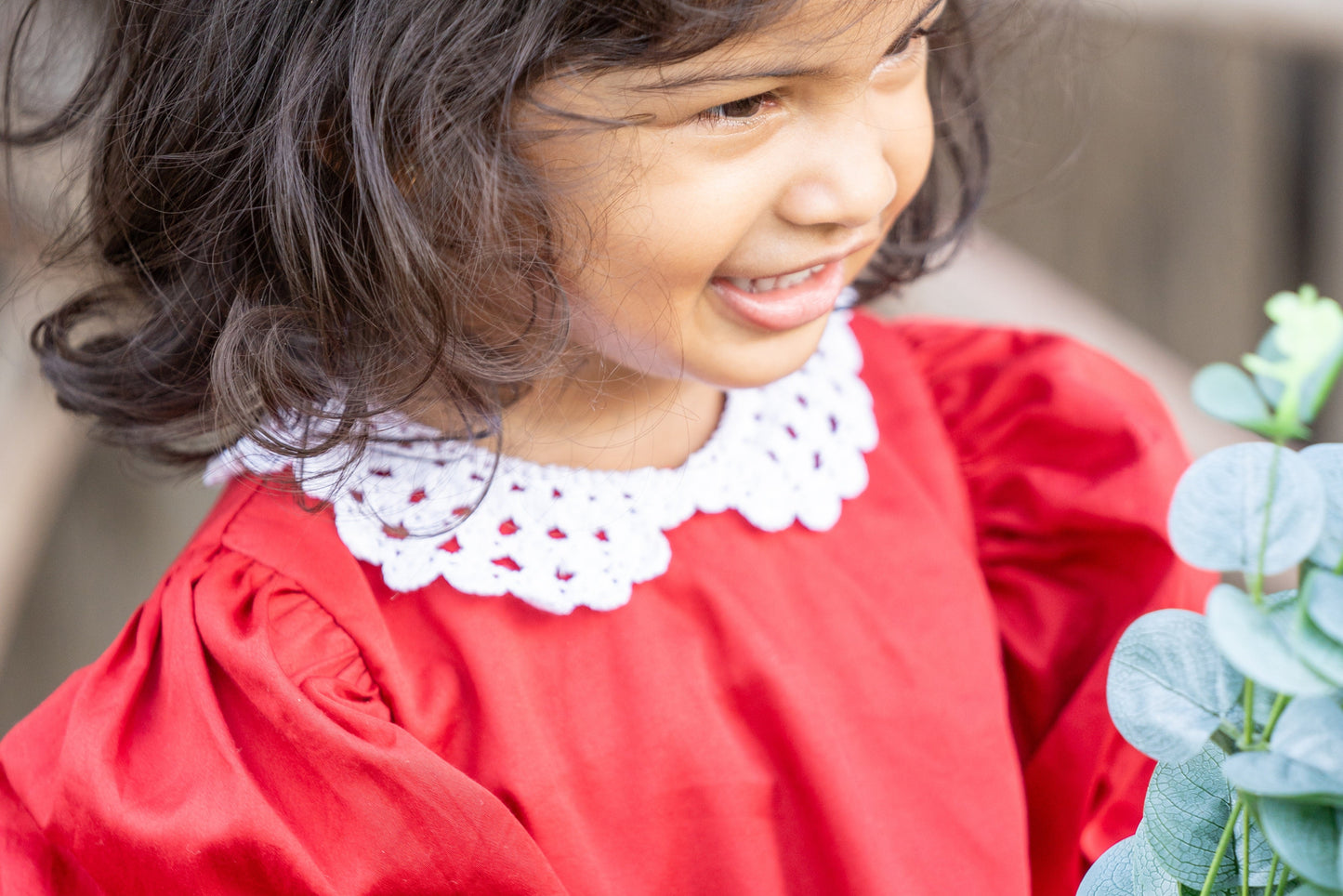 VALERIE - Red Embroidery Dress