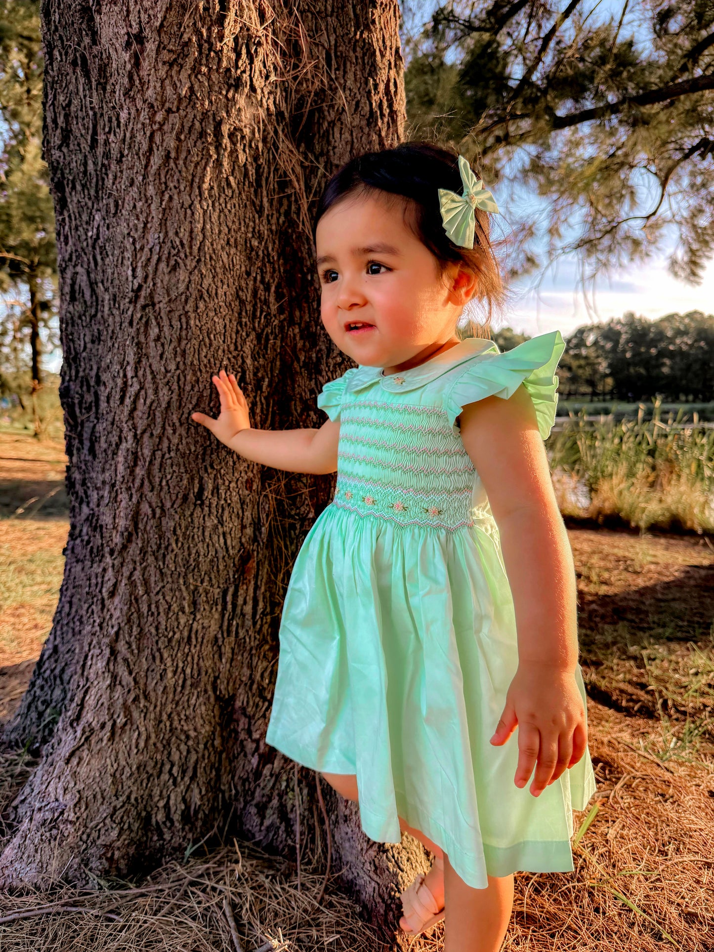 Emerald - Green Smocked Dress