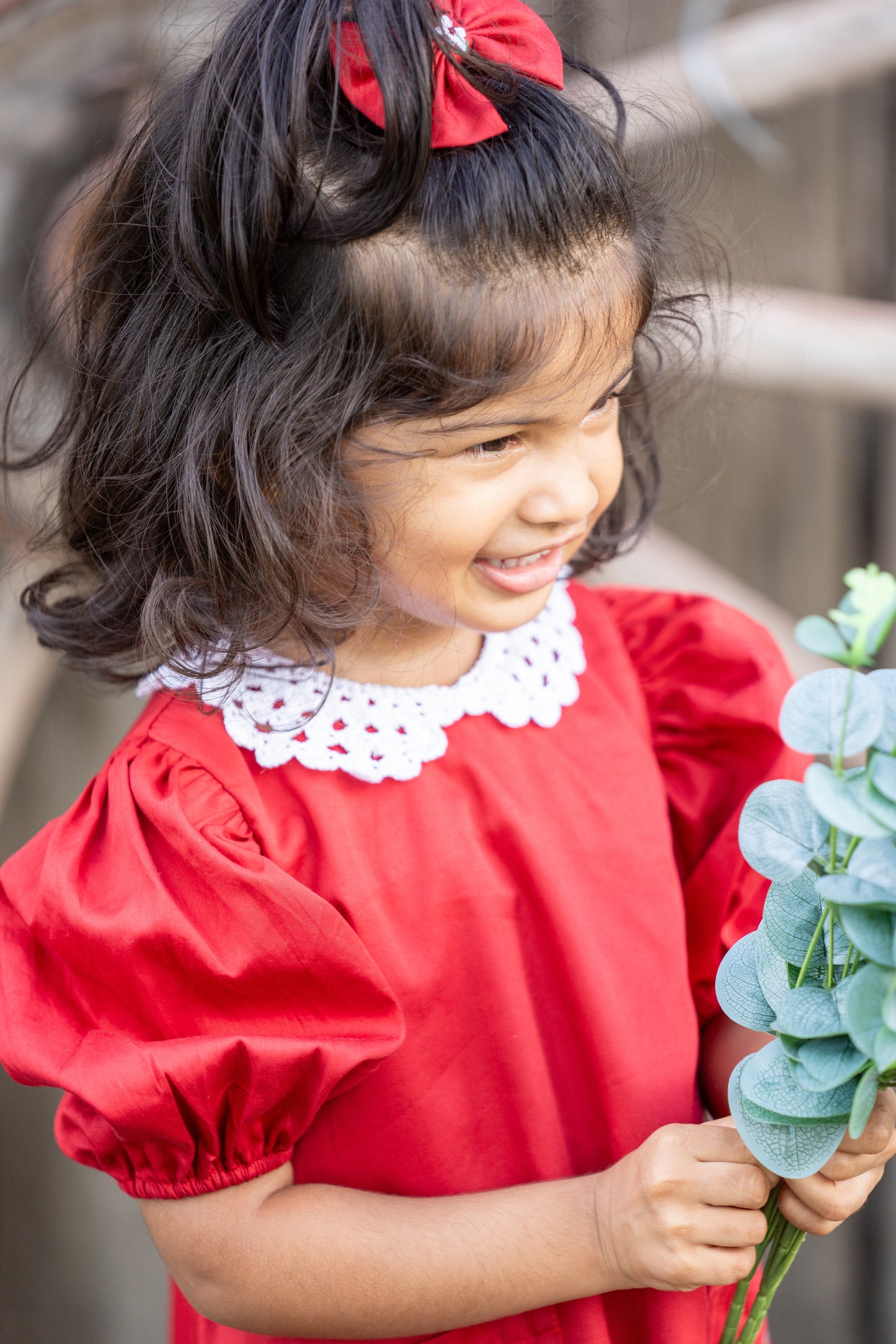 VALERIE - Red Embroidery Dress